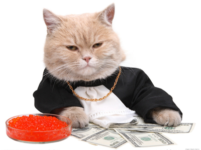 1466569039879734.jpg 猫猫1.jpg